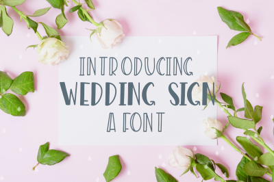 Wedding Sign Font