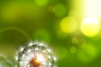 Dandelion field vector spring conceptual background