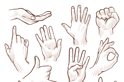 Line drawing doodle hands showing common signs vector collection