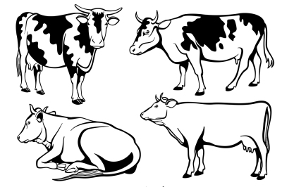 Black and white cows vector set