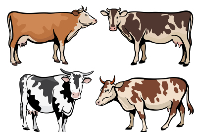 Farm cows&2C; dairy cattle in cartoon vector style