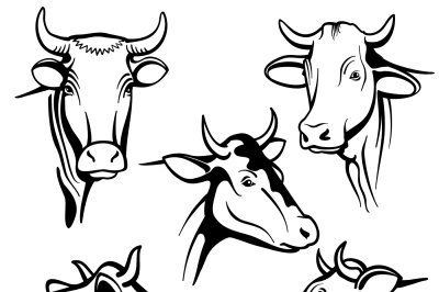 Isolated cow head vector portraits, cattle faces for farm natural dair