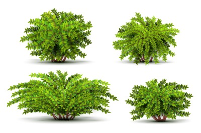 Shrubbery, 3d isometric bushes isolated on white vector set