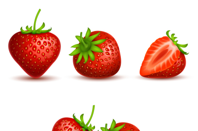 Vector realistic sweet and fresh strawberry isolated on white backgrou