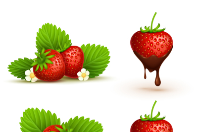 Close up red ripe strawberry with leaves vector illustration