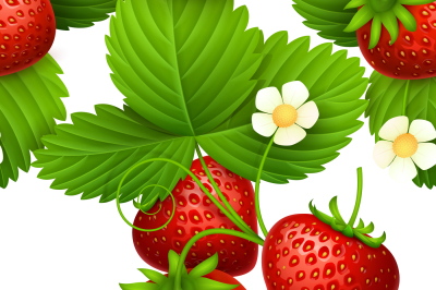 Plant seamless vector textures with eating strawberries