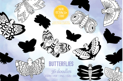Hand Drawn Butterflies | Moth | Insect | Flying Bugs