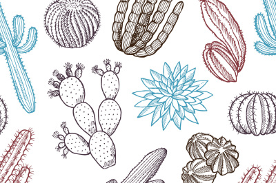 Floral seamless pattern. Illustrations of wild cactuses