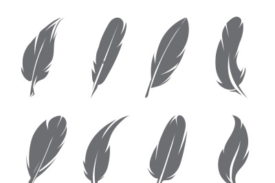 Vector illustrations of feathers