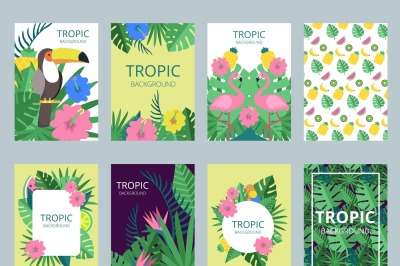 Design template of cards with illustrations of exotic plants&2C; fruits a