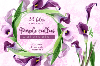 Purple callas Watercolor png