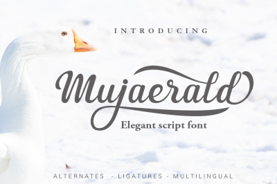 Mujaerald Font