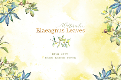 Elaeagnus leaves Watercolor png