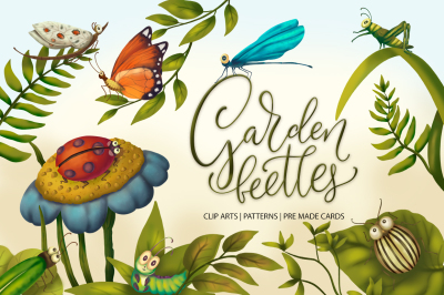 Garden beetles. Graphic collection. 