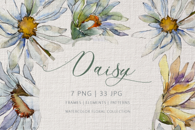 DAISY Watercolor png