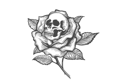 Skull Inside a Rose Flower