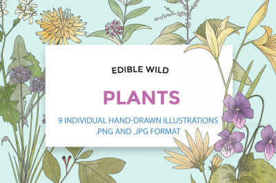 Hand Drawn Edible Flowers