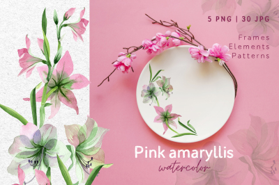 Pink amaryllis &nbsp;Watercolor png