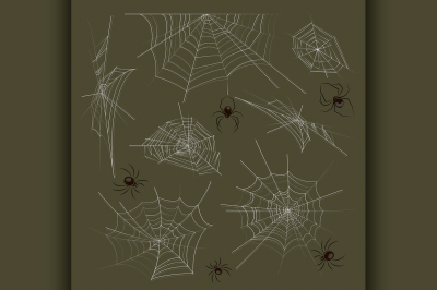 Collection of spiders and webs