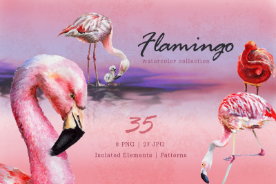 &nbsp;Flamingo Watercolor png