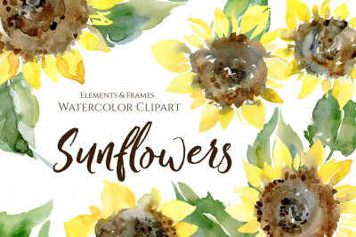 Watercolor Sunflower Flowers Leaves PNG