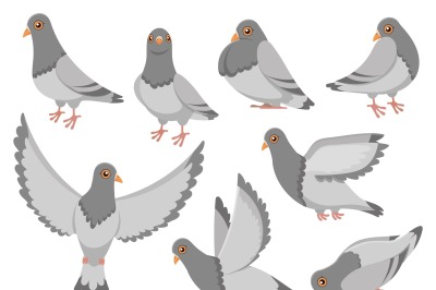 Cartoon pigeon. City dove bird&2C; flying pigeons and town birds doves is