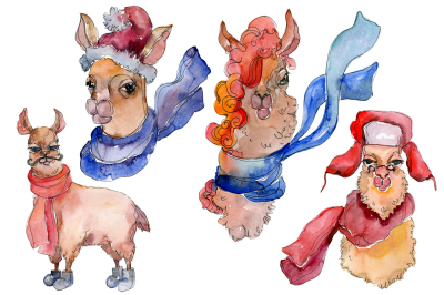 Lama,Alpaca Watercolor png