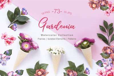 Gardenia Watercolor png