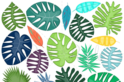 Tropical Leaves Clipart and Vectors