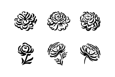 Peony flower graphic illustration set