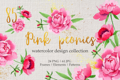 Legendary pink peonies Watercolor png