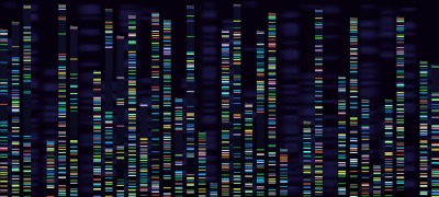 Genomic analysis visualization. Dna genomes sequencing&2C; deoxyribonucle