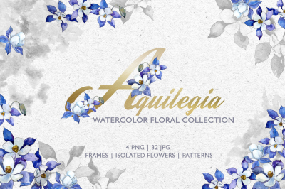 Watercolor Blue Aquilegia png