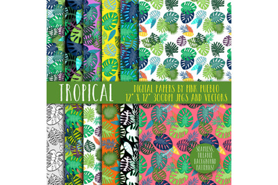 Tropical Leaf Patterns and Backgrounds