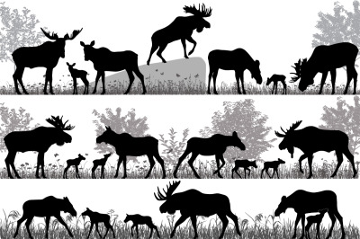 Herd of moose