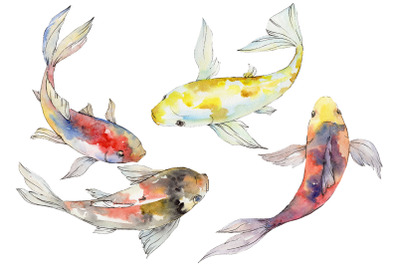 Magic Gold fish Watercolor png