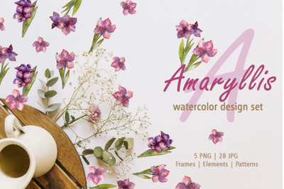 Amaryllis design set Watercolor png