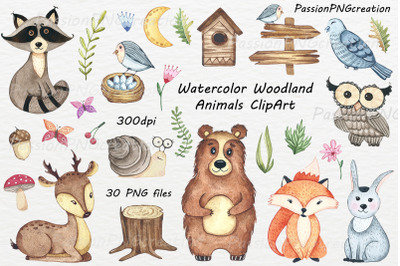 Watercolor woodland Animals ClipArt