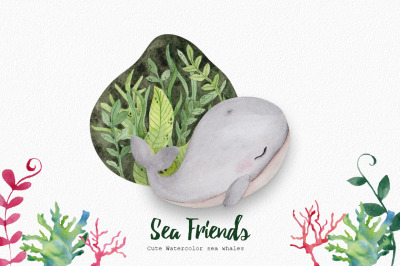 Sea friends. Cute whales