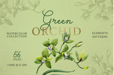 Green, Orchid, Watercolor, png