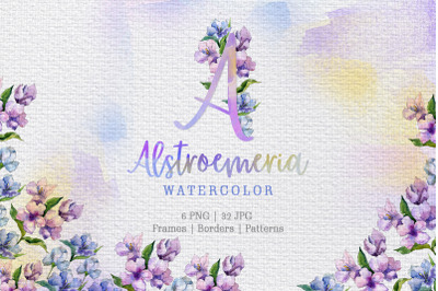 Alstroemeria Violet Watercolor png