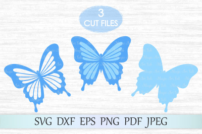 Butterfly svg, Butterflies svg file, Butterfly wall decor