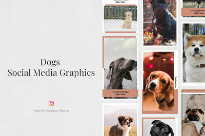 Dogs Instagram Stories