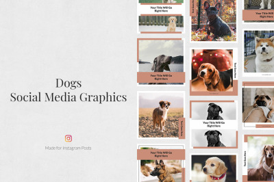 Dogs Instagram Posts