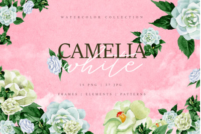 Camelia white Watercolor png