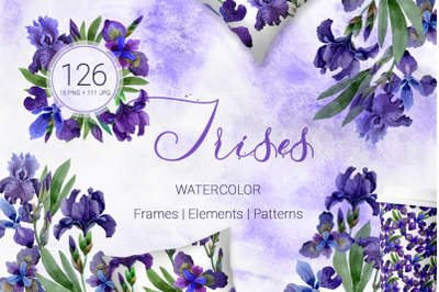 Irises  Gentle Watercolor png