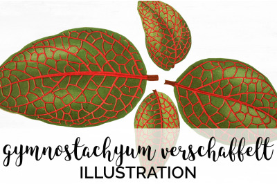 Leaf Vintage Clipart