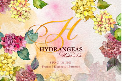 Hydrangeas Yellow-pink Watercolor png