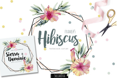 Hibiscus. Frame #5