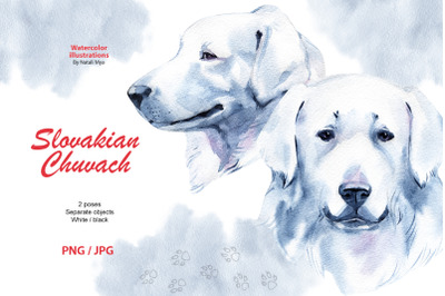 Watercolor dog - Slovakian Chuvach
